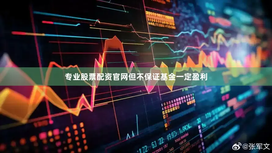 专业股票配资官网但不保证基金一定盈利