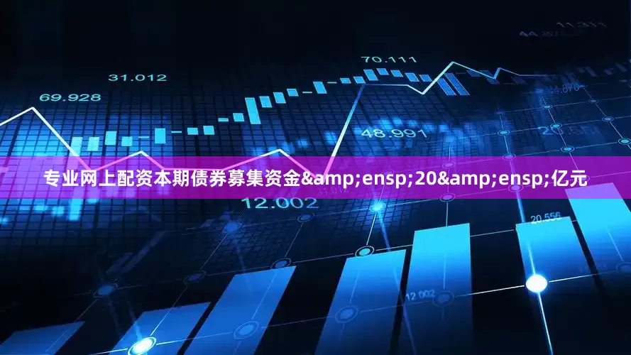 专业网上配资本期债券募集资金 20 亿元