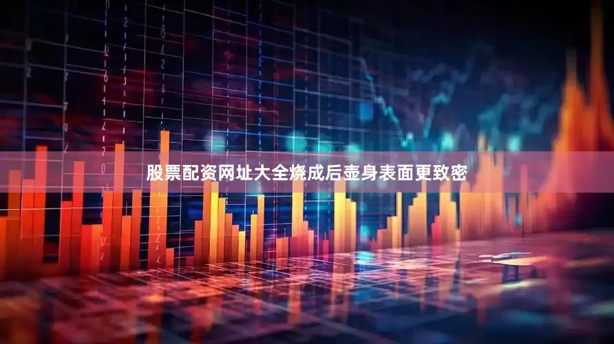 股票配资网址大全烧成后壶身表面更致密