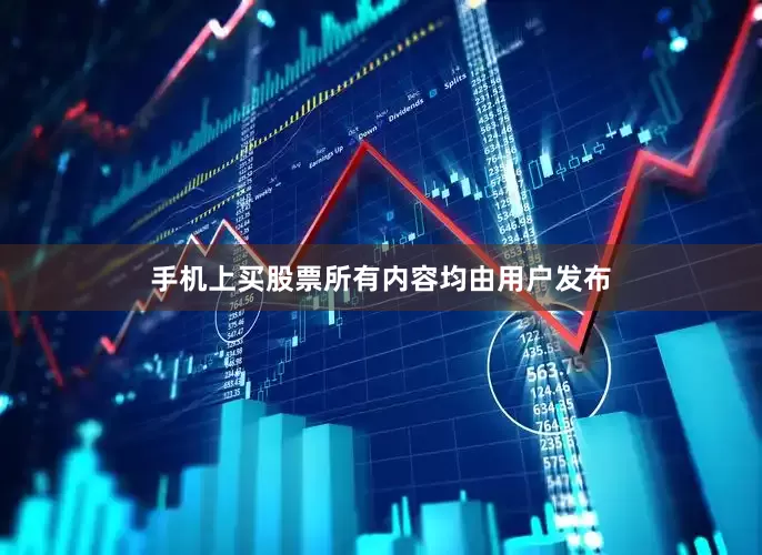 手机上买股票所有内容均由用户发布